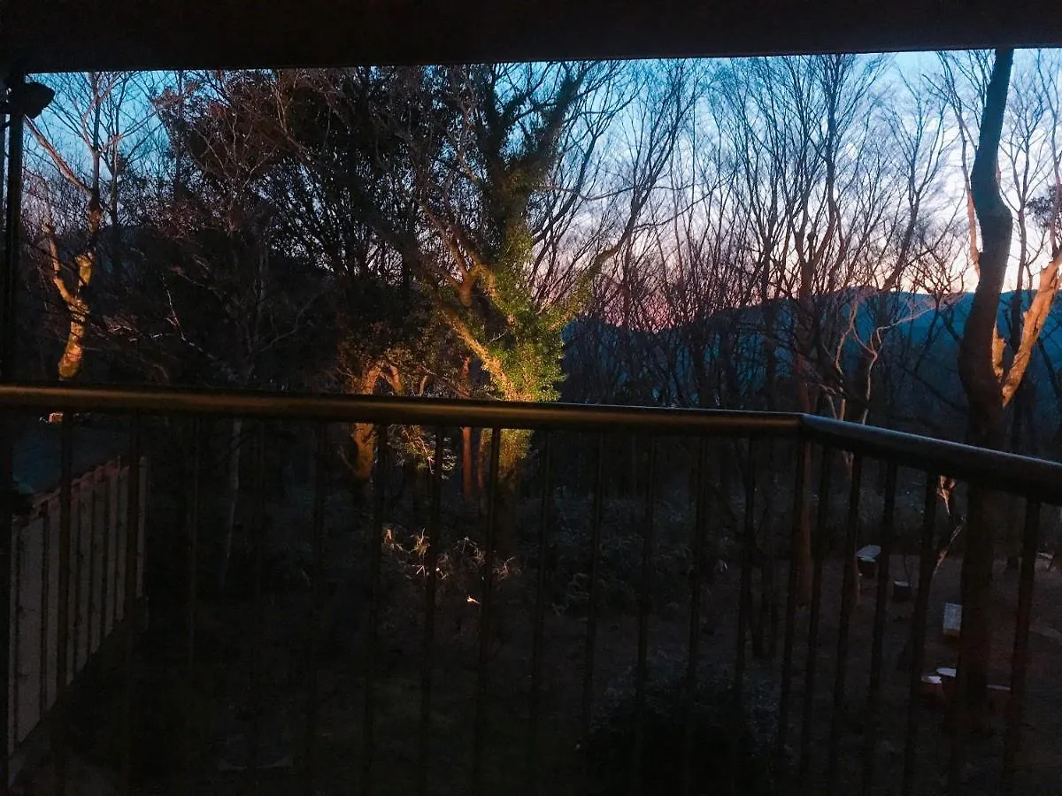 료칸 Hakone Ashinoko Toranoyu 호텔
